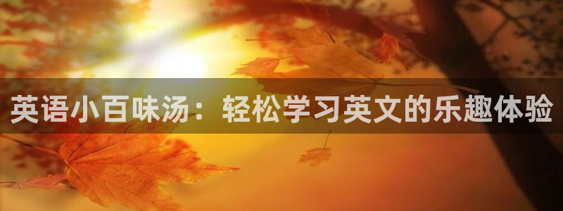 多宝电竞体育：英语小百味汤：轻松学习英文的乐趣体验