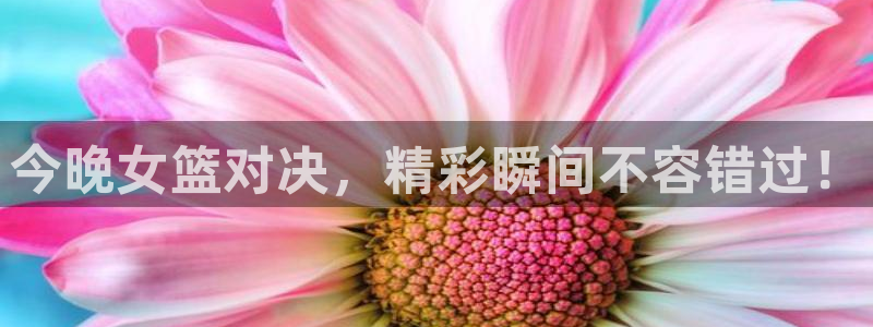 360足球直播在线观看免费高清：今晚女篮对决，精彩瞬间不容错过！